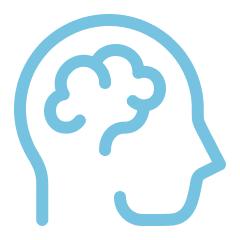 Outline of a human head with brain inside, drawn in light blue lines.